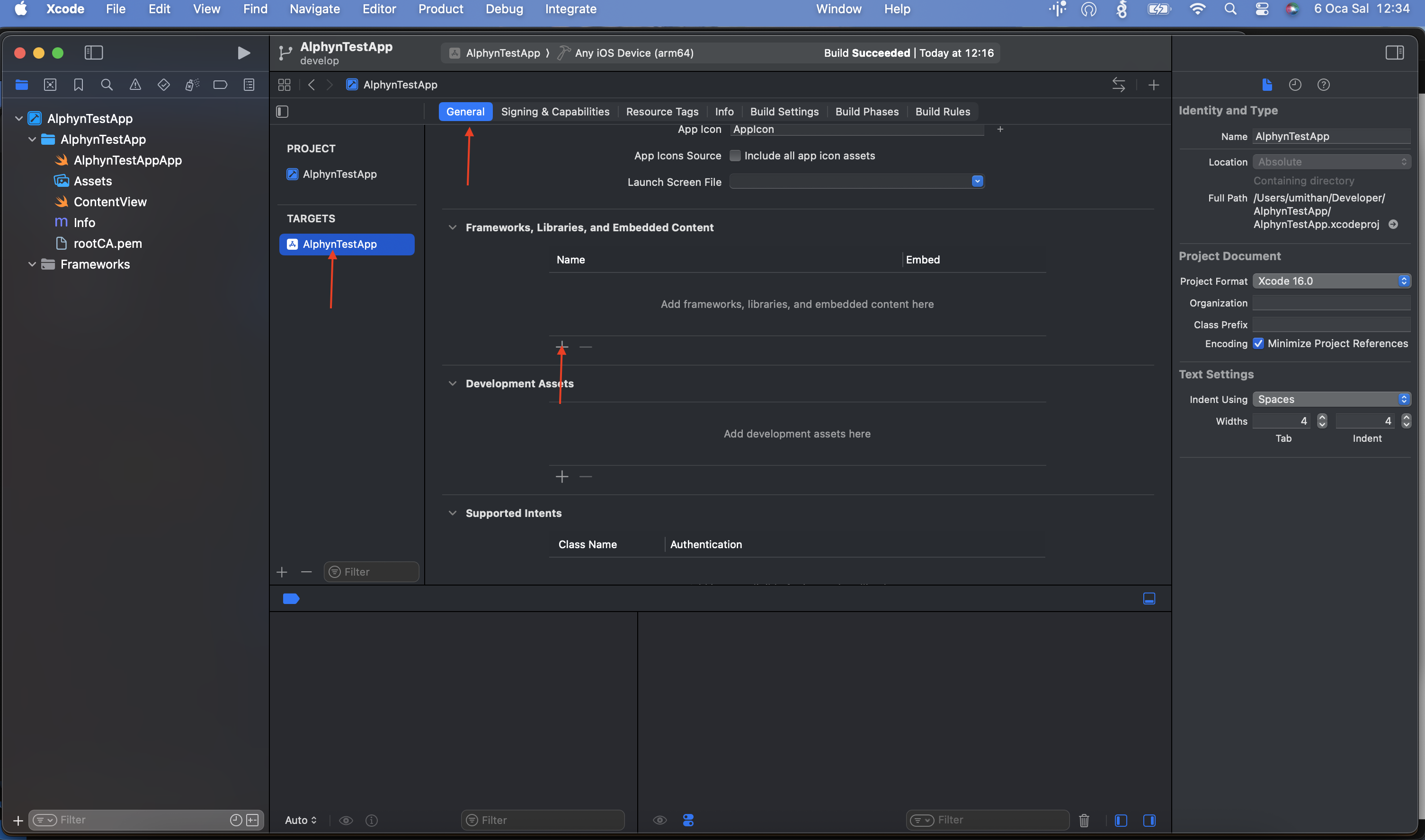 Frameworks, Libraries, and Embedded Content